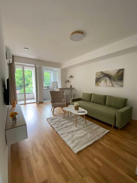 Luxury Apartment IVA III Apartment in Skopje