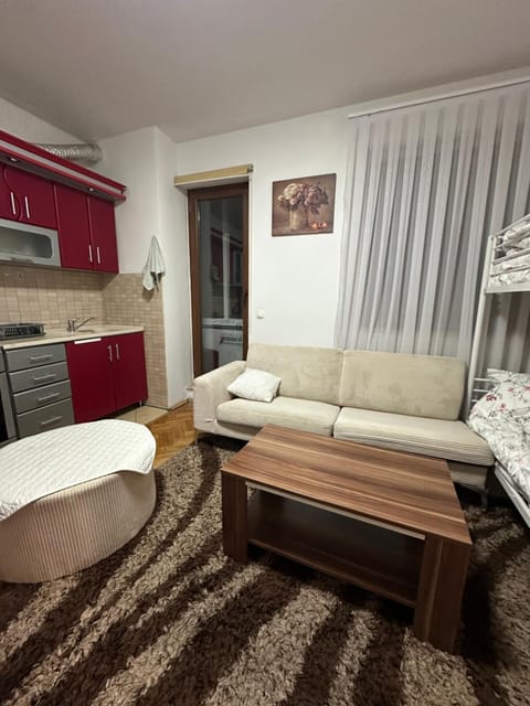 Feti’s cozy apartment near the park city Apartment in Serbia