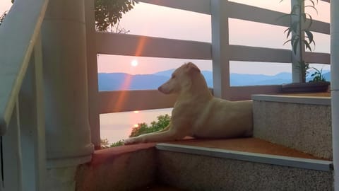 Marković Apartments (vidikovac) Apartment in Serbia