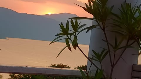 Marković Apartments (vidikovac) Apartment in Serbia