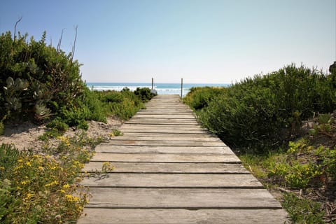 Bird's eye view, Garden, Beach, Sea view