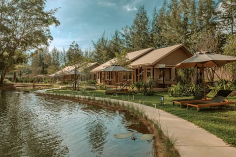 Day, Garden view, Lake view, sunbed