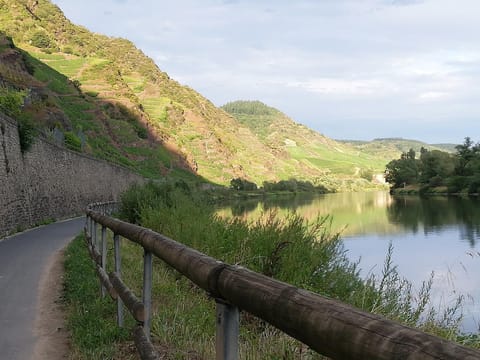 Day, Summer, Hiking, Cycling, Location