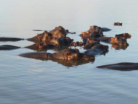 Natural landscape