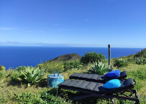 Natural landscape, Garden, Sea view