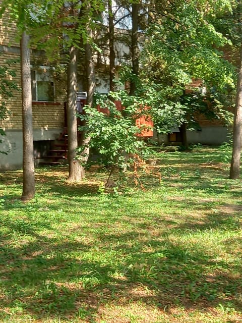 Apartman Lola Ruža Apartment in Timiș County