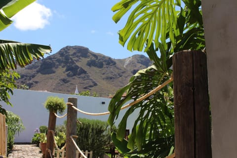Garden, Mountain view