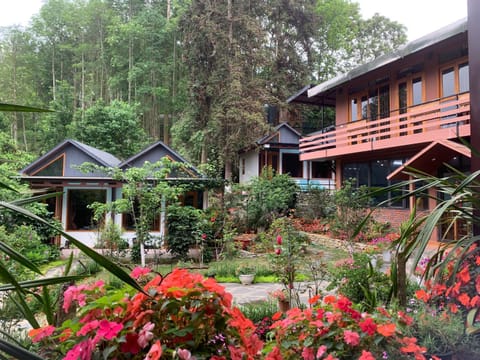 Property building, Restaurant/places to eat, Natural landscape, Garden, Garden view