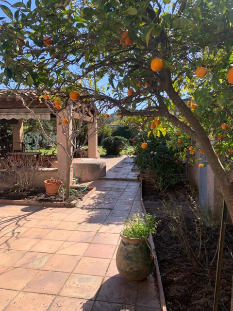 Day, Garden, Garden view