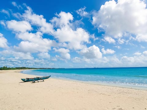 Activities, Activities, Winter, Summer, BBQ facilities, Beach, Beach, Evening entertainment, Evening entertainment, Entertainment, Location