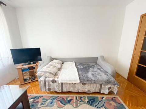 Lovely condo in urban area Apartment in Podgorica