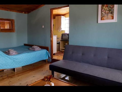 Bed, Living room, Photo of the whole room, Seating area, Bedroom