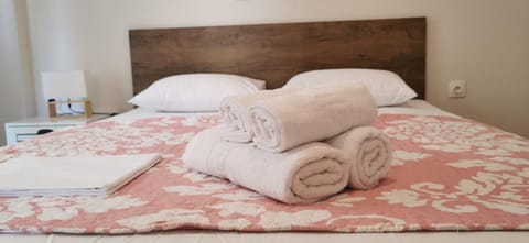 Ellinis Apartment in Nikiti