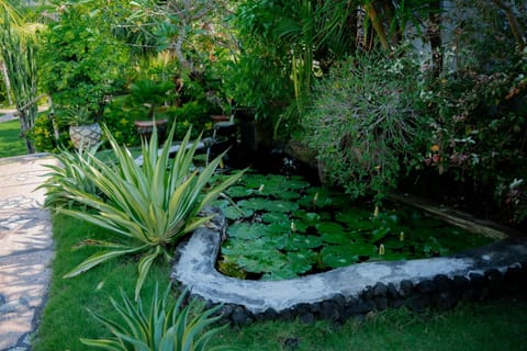 The BBQ Guest House Bed and Breakfast in Abang