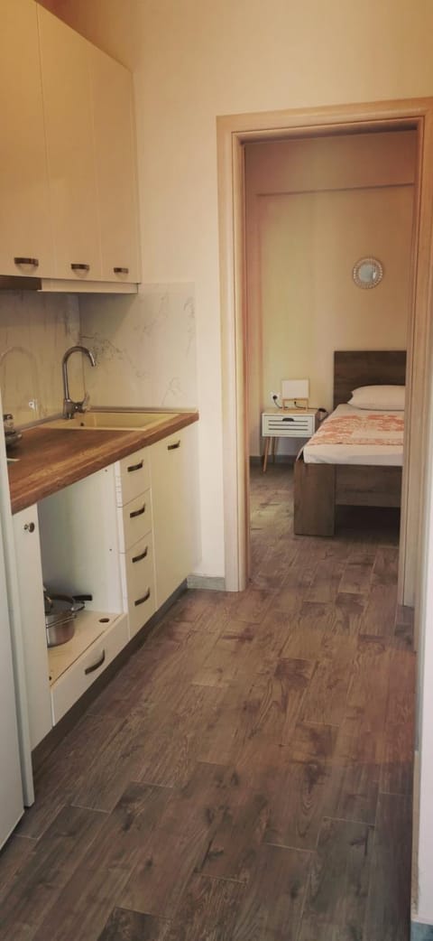 Agalmonis Apartment in Nikiti