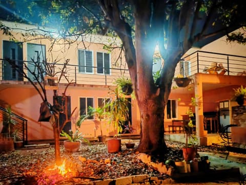 Property building, Garden view