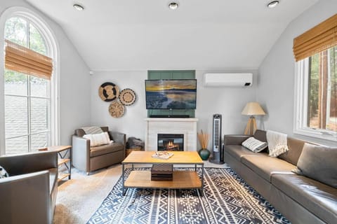 TV and multimedia, Living room, Seating area, fireplace, air conditioner