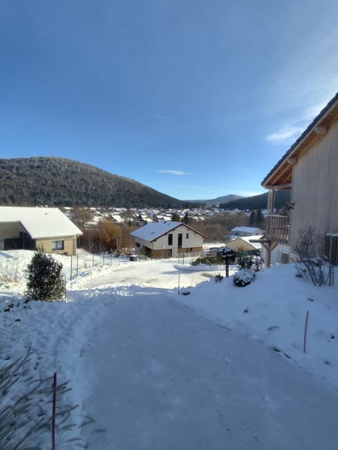 Chalet du Nid d'amour Chalet in Gérardmer