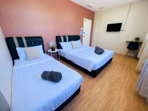Bed, TV and multimedia, towels