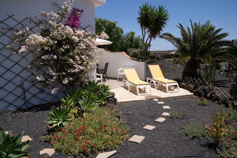 Patio, Garden, Balcony/Terrace