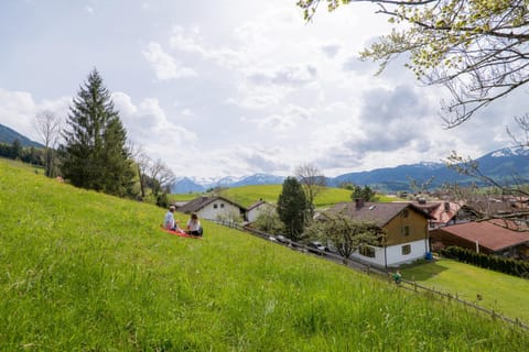 Property building, Natural landscape, Mountain view