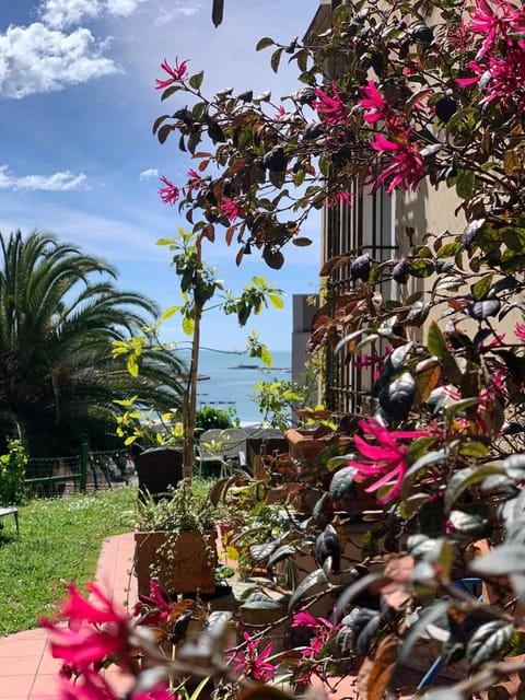 Day, Natural landscape, Garden view, Sea view