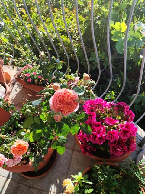 B&B Easy Wind Vacation rental in Cala Gonone