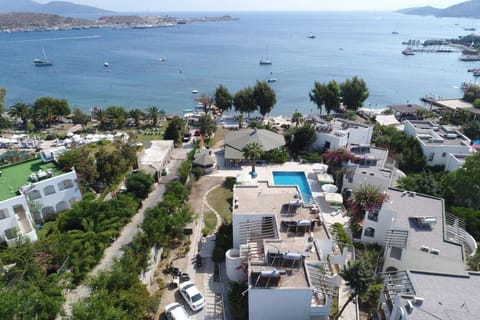 Bird's eye view, Sea view, Swimming pool
