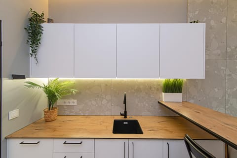 Secret SPA Apartment in Vilnius