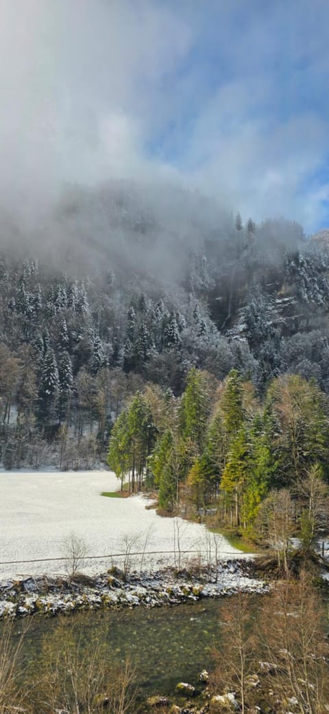 Muota River Loft & Muota Industry Apartment near Stoos Apartment in Canton of Grisons