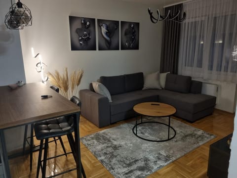 Apartman Dina Apartment in Serbia
