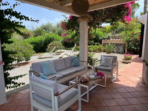 Patio, Garden view
