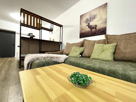 Living room, Photo of the whole room, Seating area