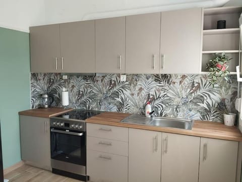 Vicky's central apartment Apartment in Euboea