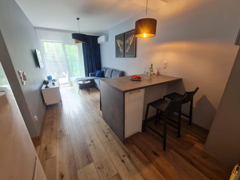 TV and multimedia, Balcony/Terrace, Kitchen or kitchenette, Living room, hair dresser, locker, air conditioner