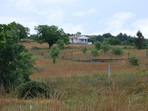 Natural landscape
