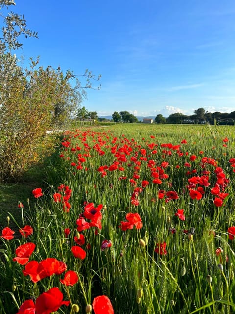 Agriturismo IL GROTTINO Bed and Breakfast in Umbria