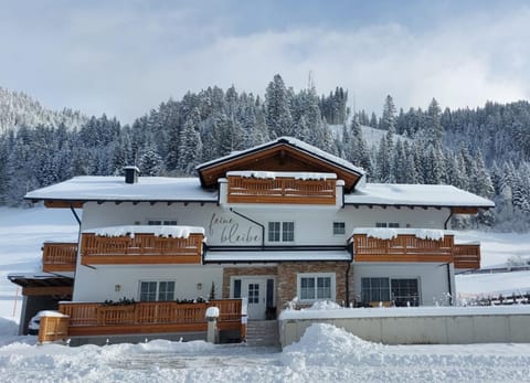 Property building, Winter