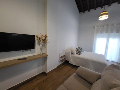 Bed, TV and multimedia, Living room, Photo of the whole room, Seating area, Evening entertainment, Bedroom