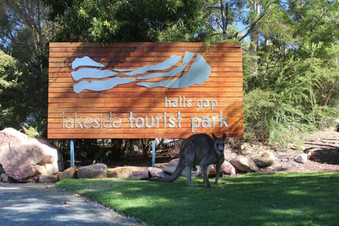 Property logo or sign