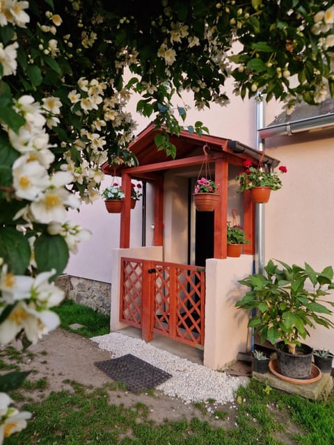 Property building, Day