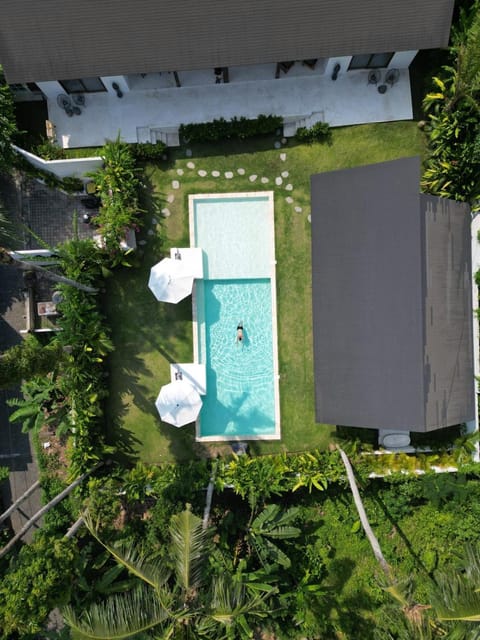 Garden, Garden view, Pool view, Swimming pool, sunbed