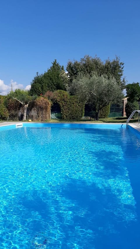 Day, Natural landscape, Garden, Garden, Garden view, Swimming pool