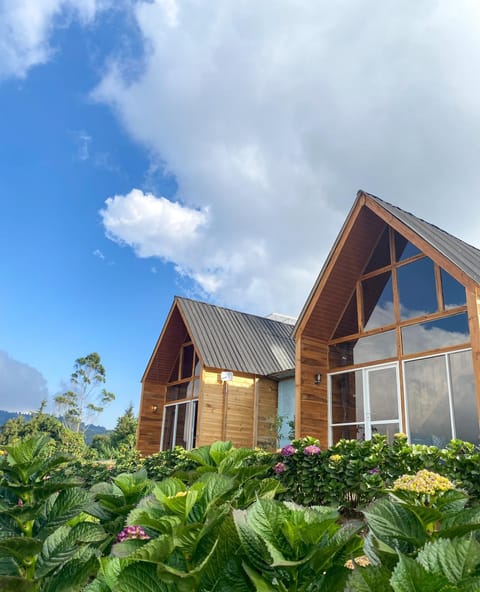 Property building, Natural landscape, Garden view