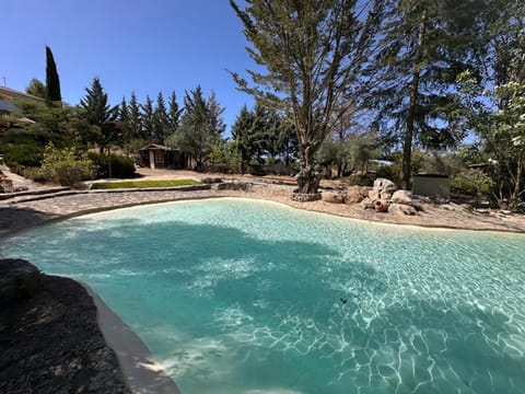 Garden, Swimming pool