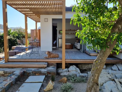 Patio, Garden view