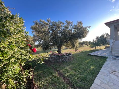 Villa Giannoula Villa in Halkidiki