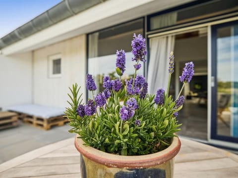 Apartment Kaapo - 1km from the sea by Interhome Apartment in Blokhus