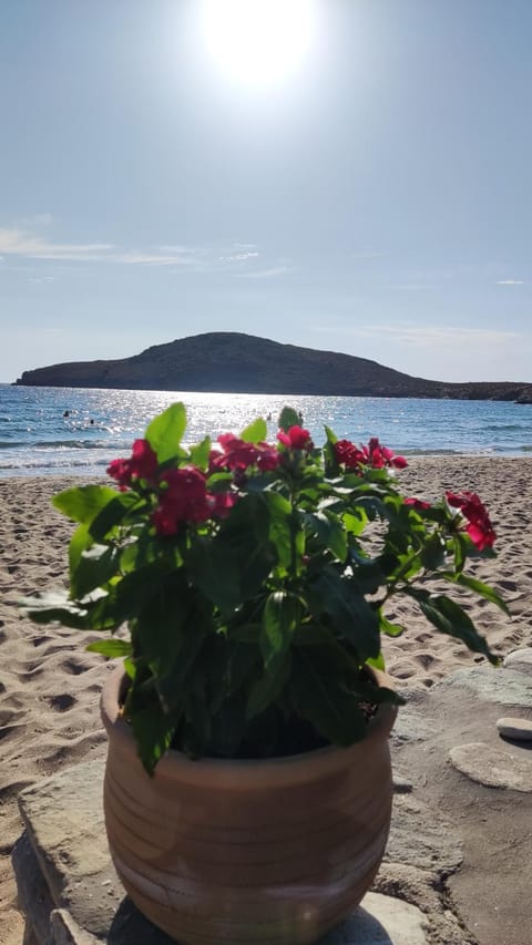 Natural landscape, Beach
