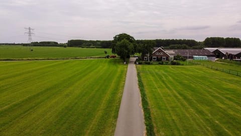 Property building, Day, Neighbourhood, Natural landscape, Summer